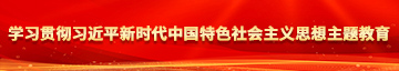 小骚逼需要大鸡芭视频学习贯彻习近平新时代中国特色社会主义思想主题教育